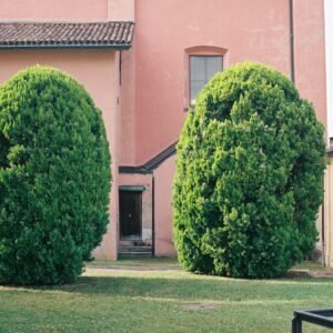 "Error común en jardinería doméstica”