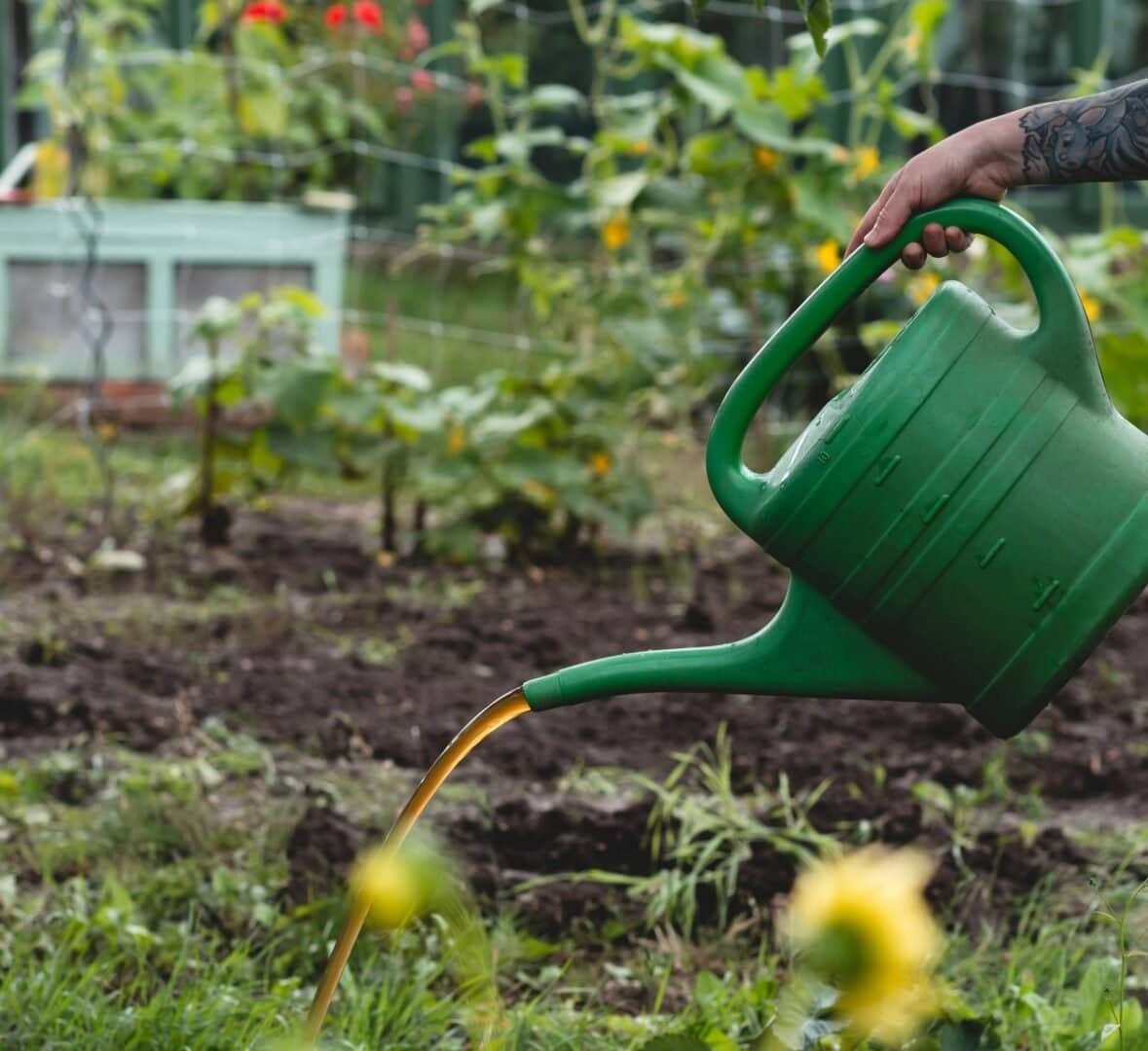 Jardinería en época seca