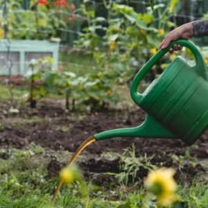 Jardinería en época seca
