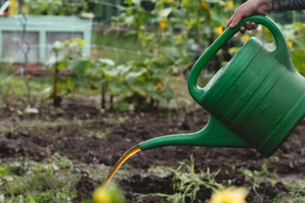 Jardinería en época seca